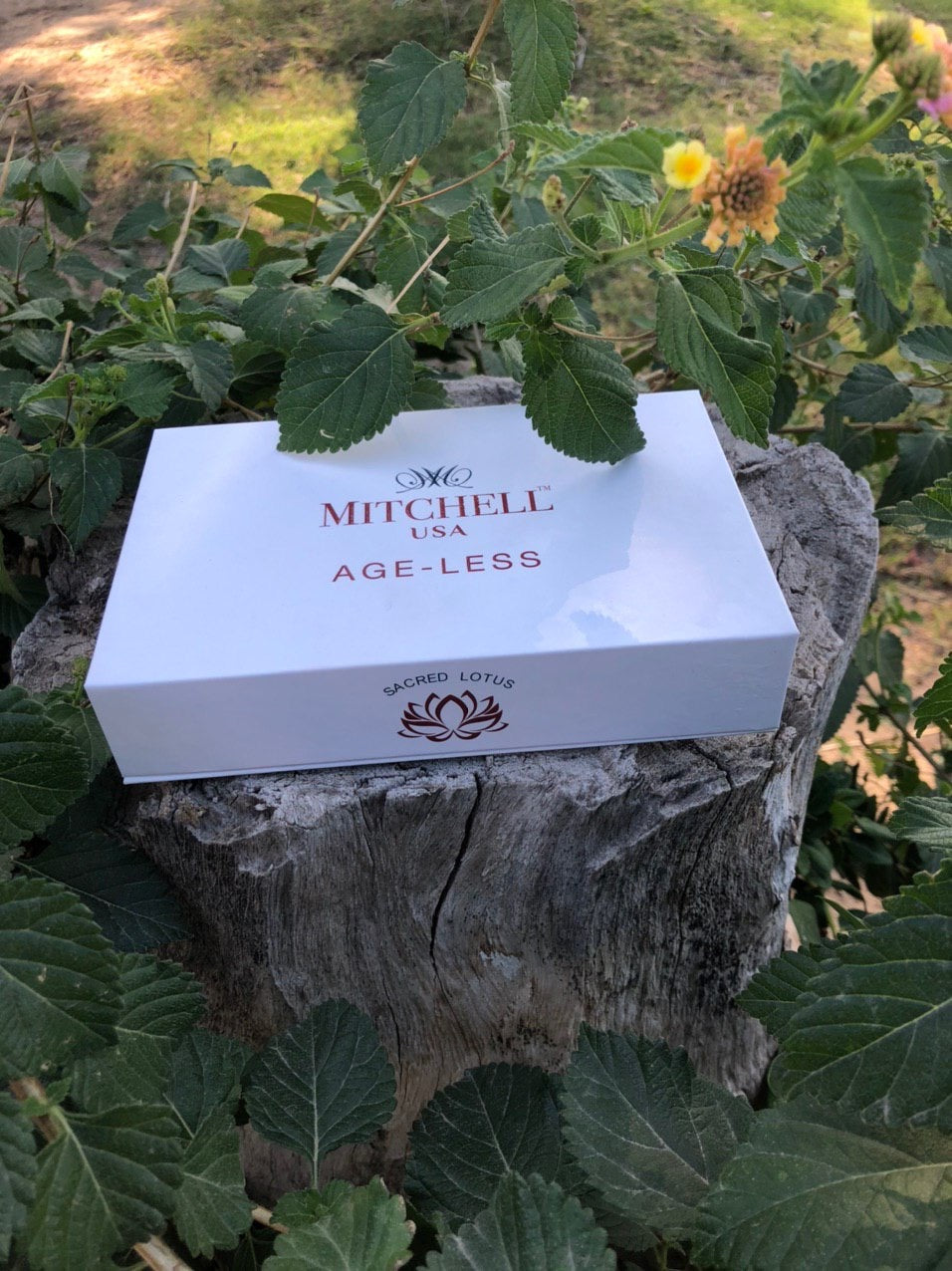 Mitchell USA Ageless- must have set