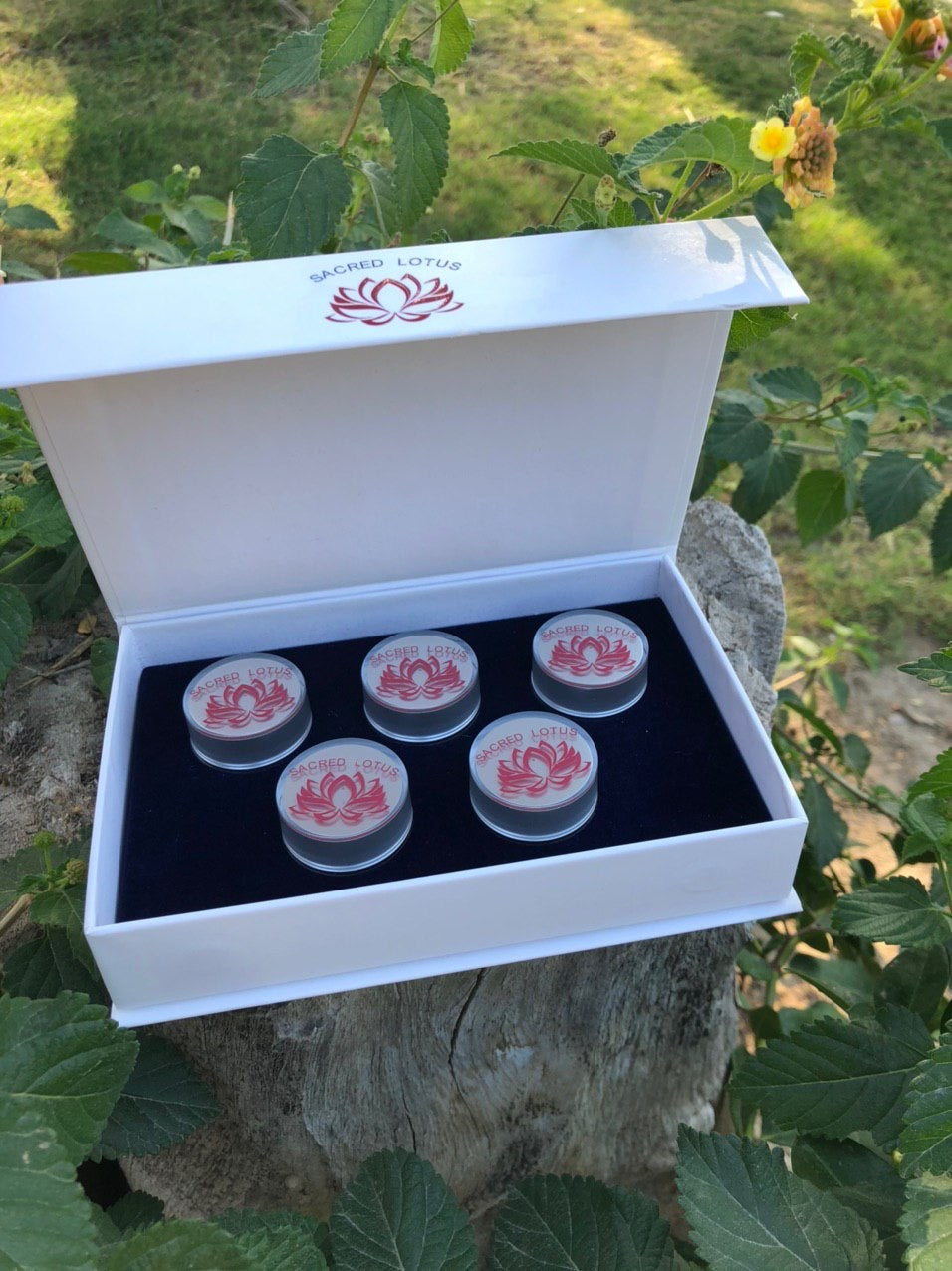 Mitchell USA Ageless- must have set